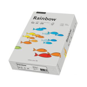 Papier ksero A4/250/160g Rainbow szary